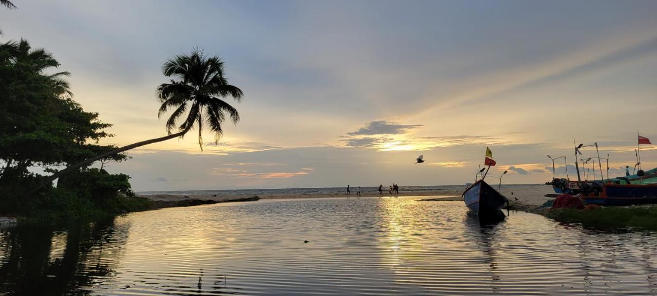 Gypsea Marari Bed and Breakfast Alappuzha Exteriör bild