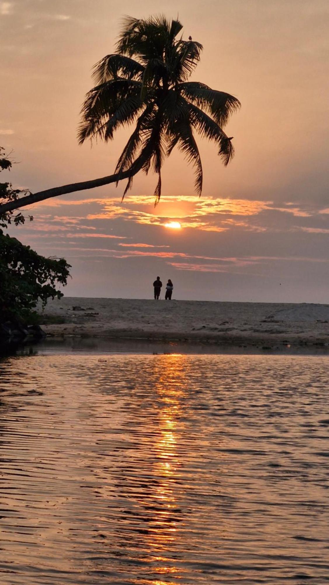 Gypsea Marari Bed and Breakfast Alappuzha Exteriör bild